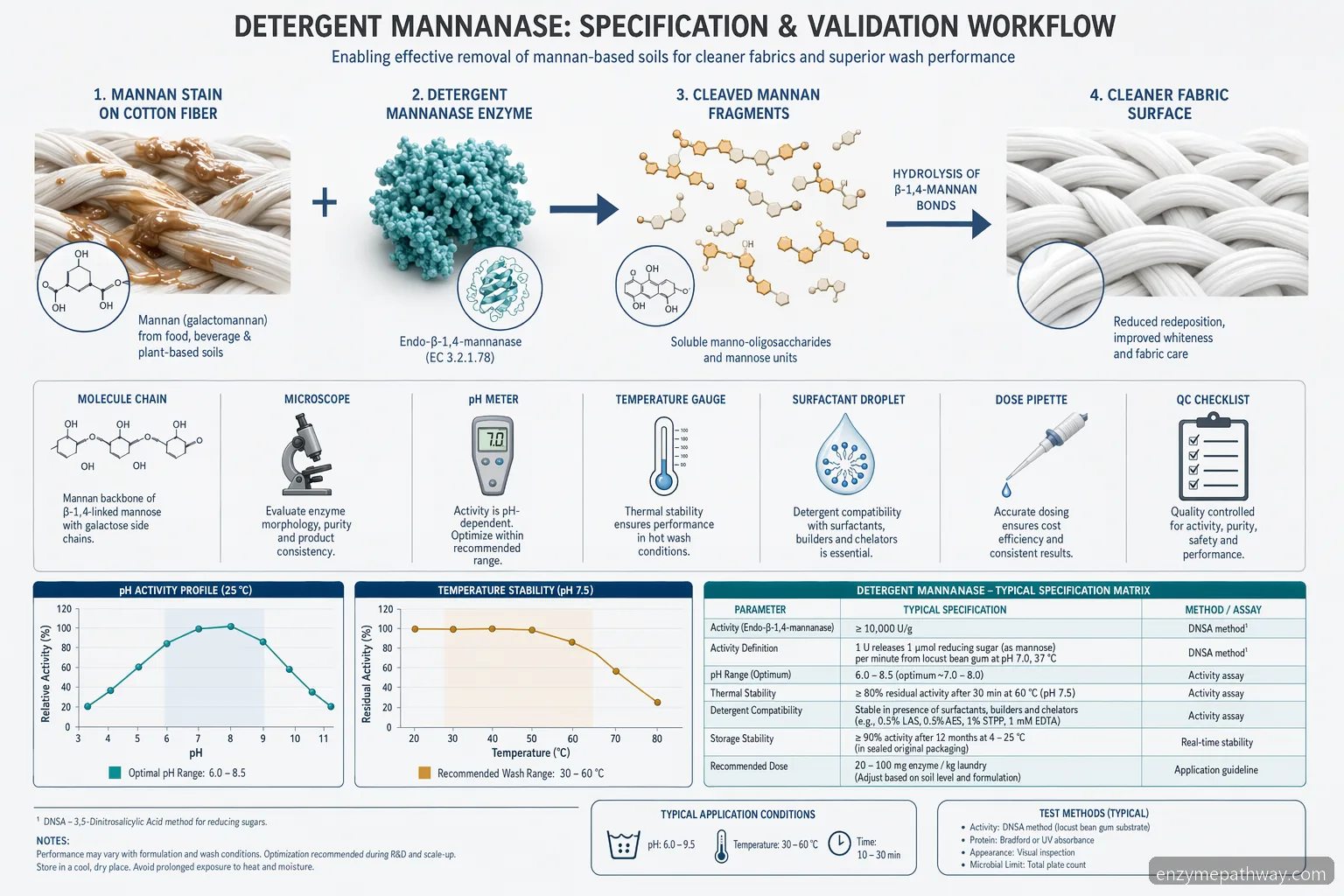 detergent mannanase specification checklist diagram comparing pH, temperature, surfactant compatibility, and dose