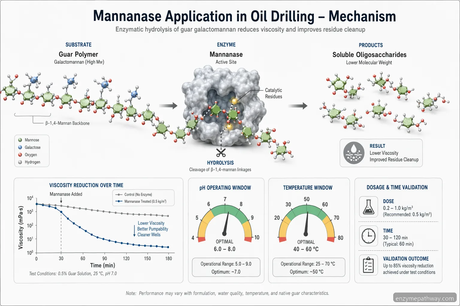 mannanase application in oil drilling process schematic linking guar polymer hydrolysis to lower viscosity and filterability