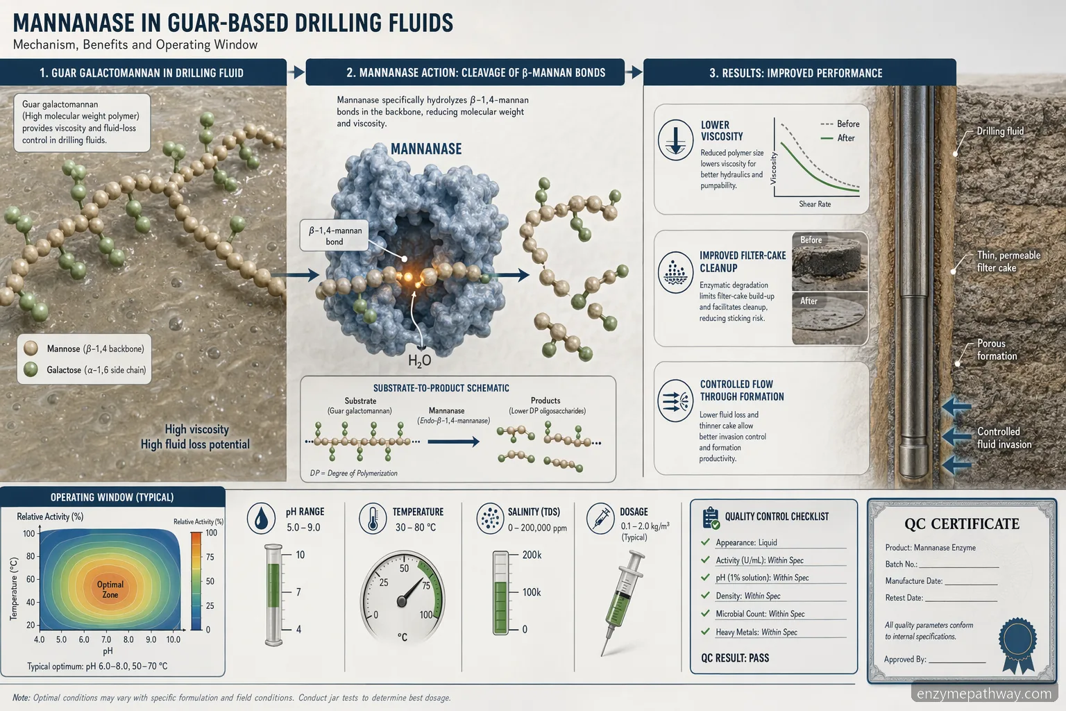 Mannanase supplier guide for oil drilling: process diagram showing guar breakdown across pH, temperature, and salinity