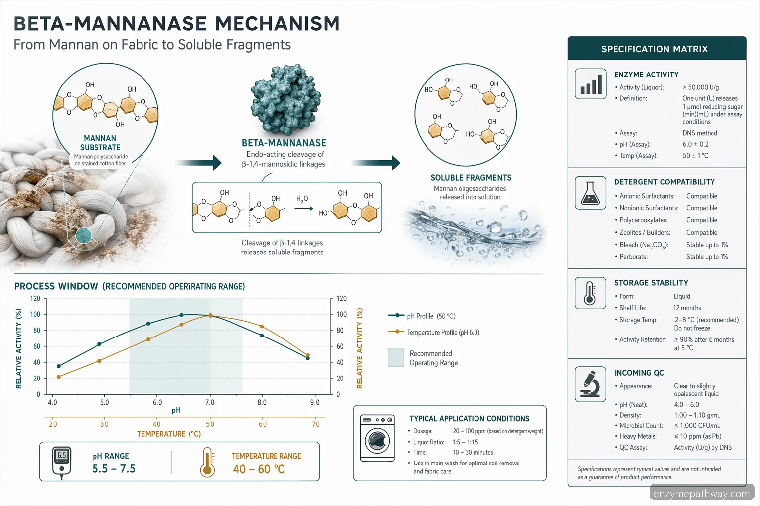 mannanase in laundry detergent process guide diagram showing beta-mannan stain hydrolysis across pH and temperature