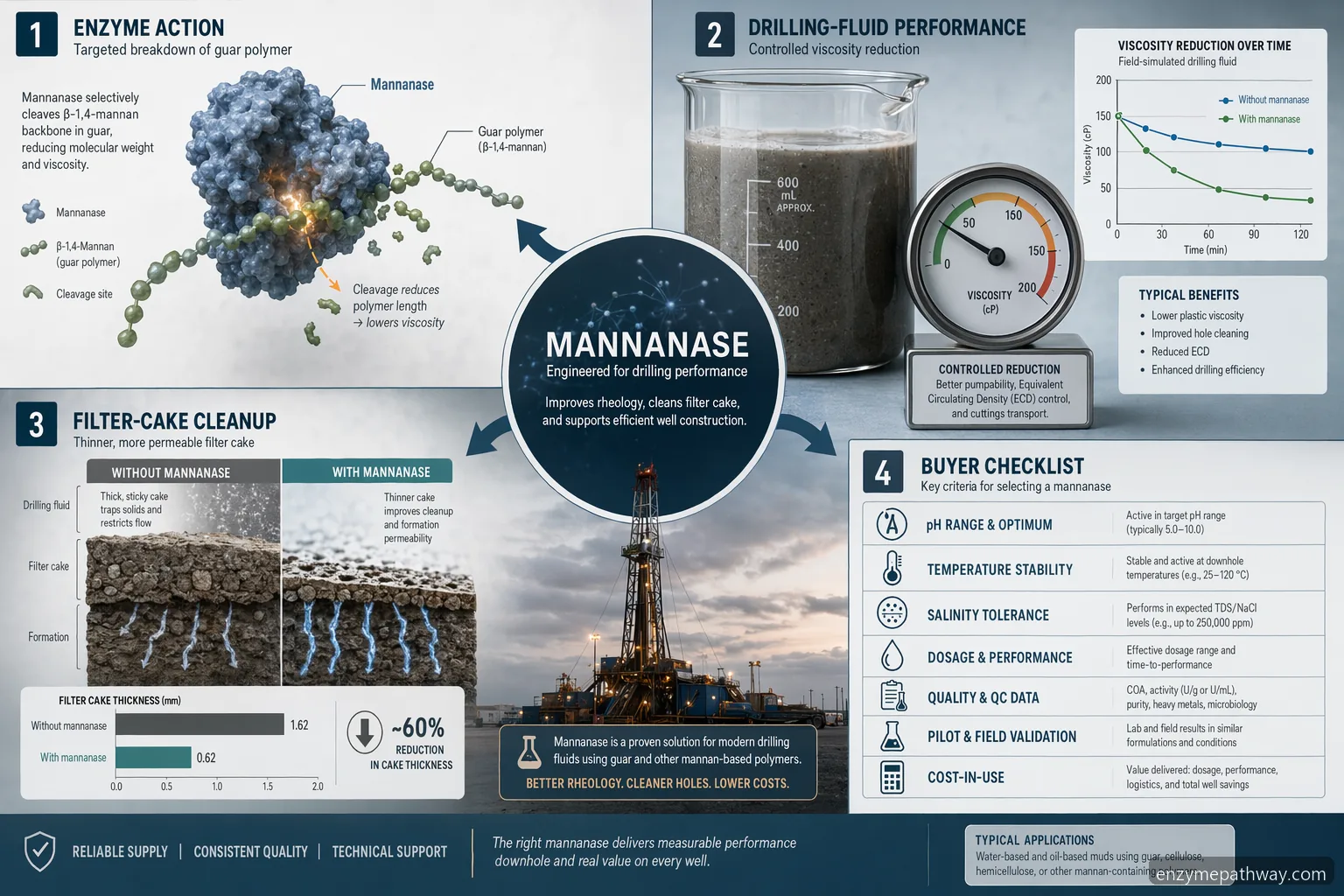 Mannanase supplier guide for oil drilling: infographic of enzyme selection, QC data, compatibility, and cost-in-use
