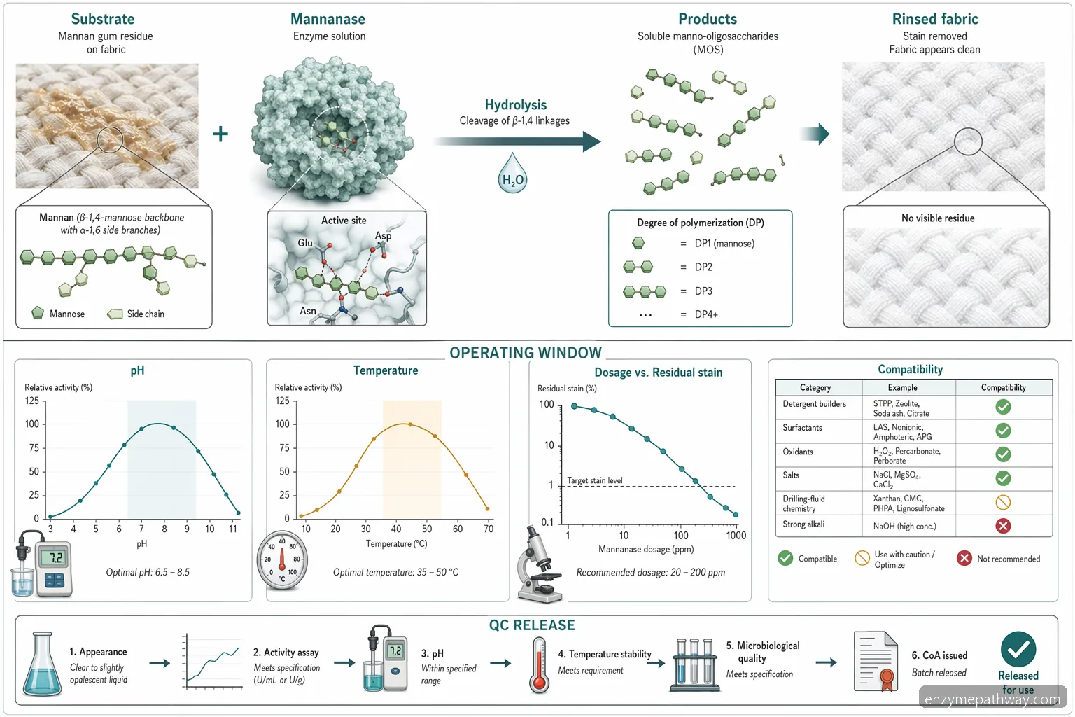 perfomance of mannanase in laundry application mechanism diagram showing hydrolysis, pH, temperature, dosage and QC