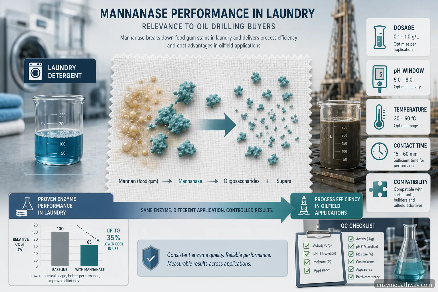 perfomance of mannanase in laundry application dosage pH and temperature controls for B2B detergent scale-up